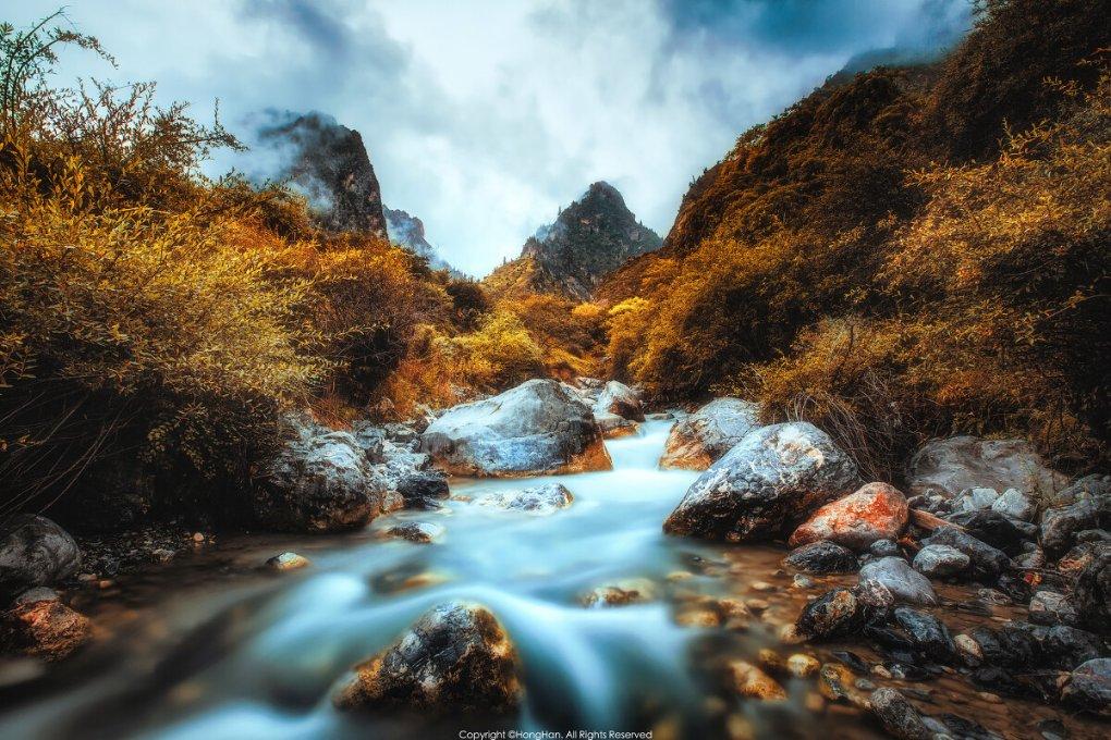 沪江开心词场